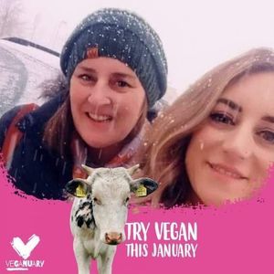 Meet your Posher, Ann